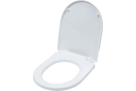 Сиденье для унитаза с микролифтом WS0320P Ани